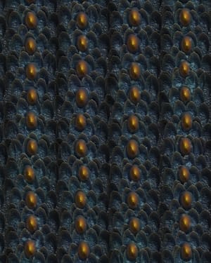 Hannon - Dragon Skin